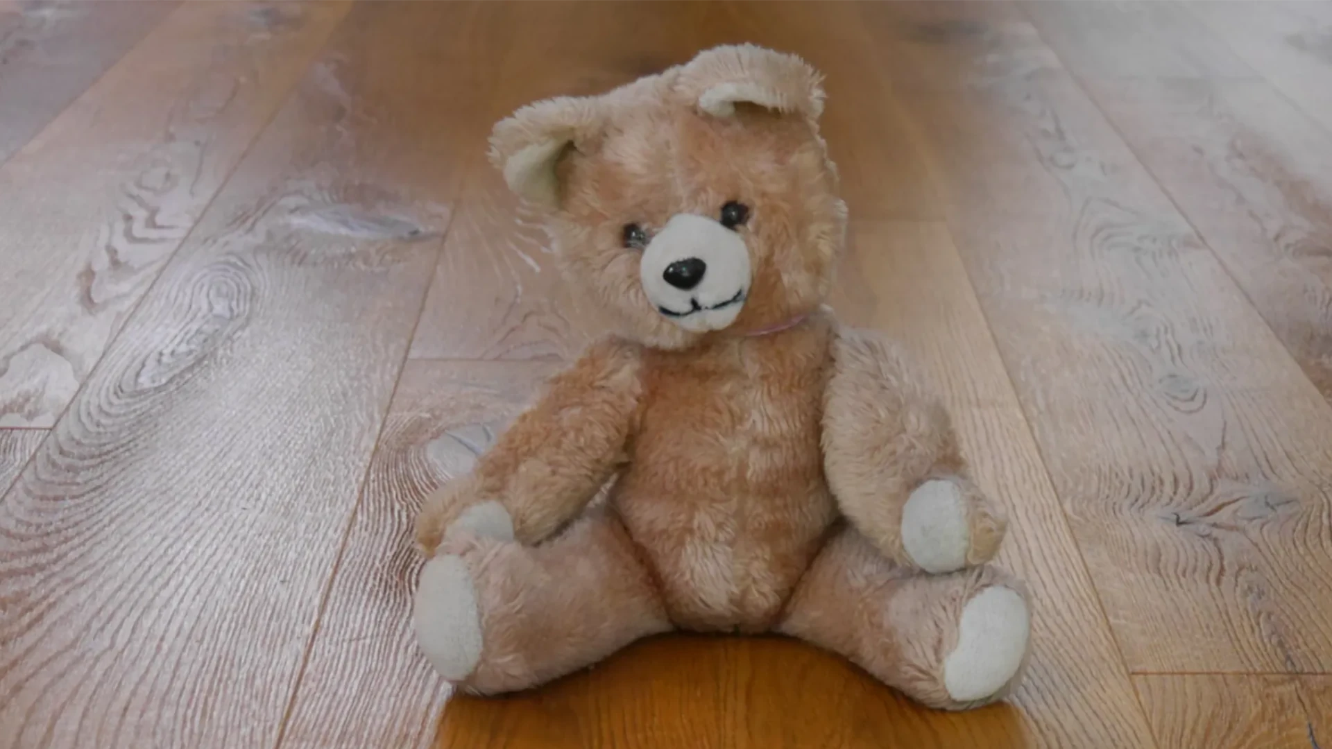 Teddy auf Parkett