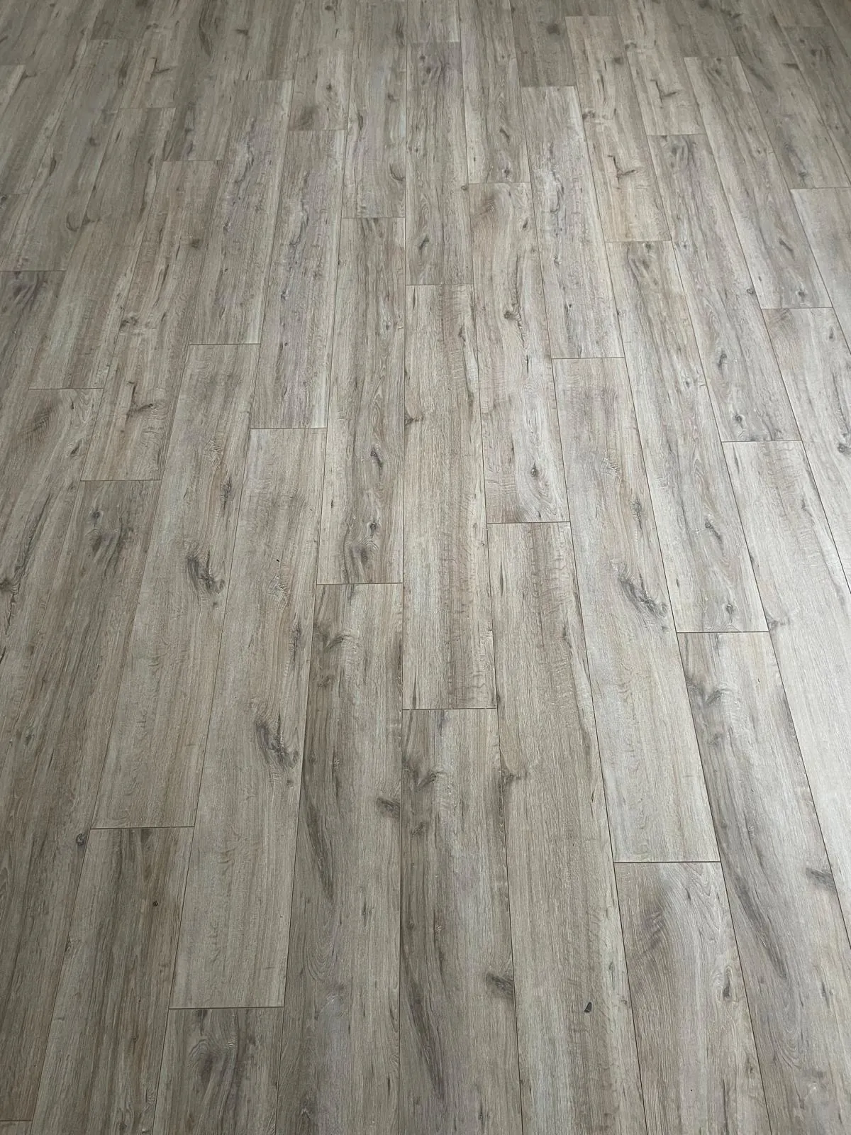 Laminat Totalaufnahme